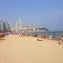 test test, 51 years oldSaint George's, Grenada