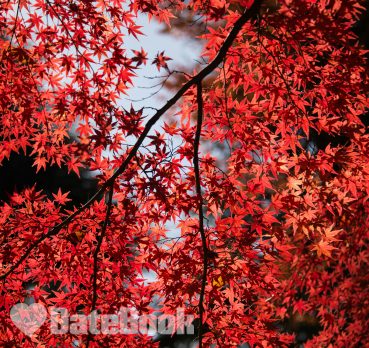 aisha miuno, 22 years old, Dar es Salaam, Tanzania